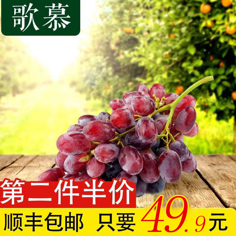 【第二件半价】云南无籽红提现货顺丰包邮 新鲜提子葡萄水果2斤装